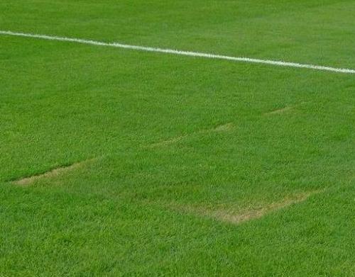 “Tofiq Bəhramov” stadionunda növbəti problem