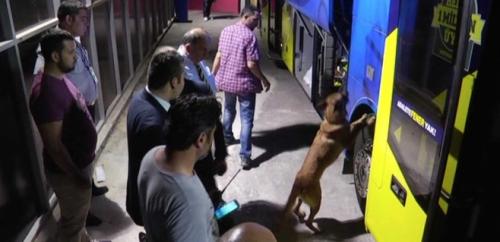 "Fənərbaxça"nın avtobusunda bomba axtarışı