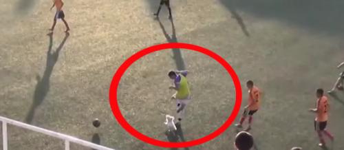 Futbolumuzda maraqlı olay: it meydana girdi, oyunçuya hücum çəkdi (VİDEO)