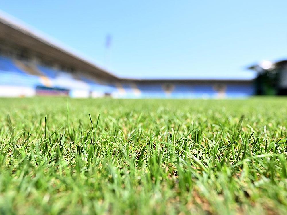 AFFA-nın stadionunun yeni ot örtüyü - Şəkillər